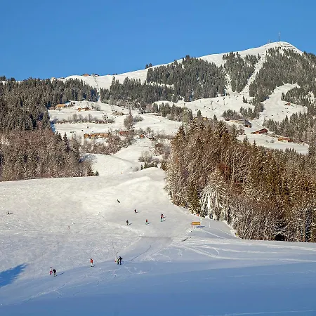 Διαμέρισμα Haus Am Waldrand Hopfgarten im Brixental